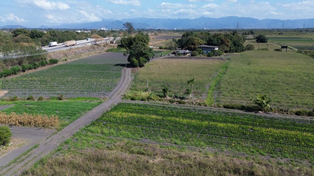 AGRICULTURA FAMILIAR EM PAUTA 2 vista aérea da região de cultivo em Santa Cruz